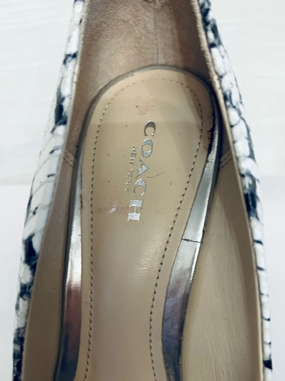 Coach stylish pointed